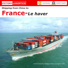 Sea Shipping/Ocean Freight Shipping From China to Le Havre, France